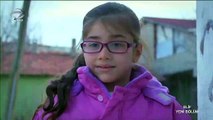 elif-212-2