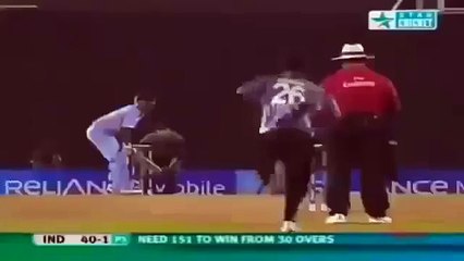 Best Catches in Cricket History! Best Acrobatic Catches! (7)