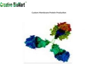 Creative BioMart Services