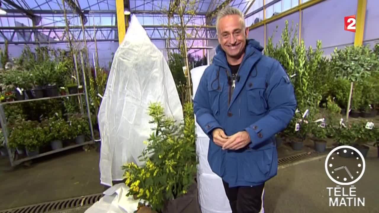 Jardin - Des arbustes en hiver - 2016/01/22