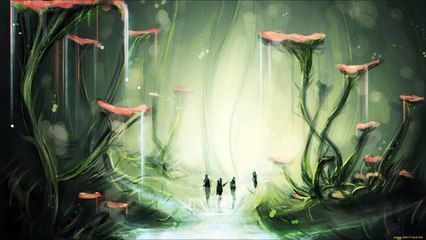 Network Music Ensemble - Looking In