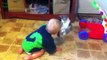 Kittens and Babies Playing Together Compilation 2014