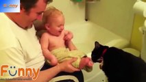 Cute Cats and Dogs Love Babies