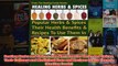 Download PDF  Healing Herbs and Spices The Most Popular Herbs And Spices Their Culinary and Medicinal FULL FREE