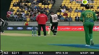 Best Run Out By Muhammad Rizwan Against New Zealand in T20