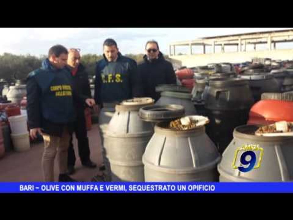 Bari |  Olive con muffe e vermi, sequestrato opificio