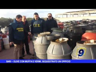 Bari |  Olive con muffe e vermi, sequestrato opificio