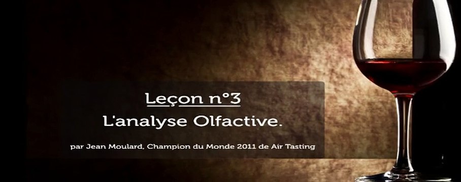 Air Tasting - Leçon de dégustation de vin