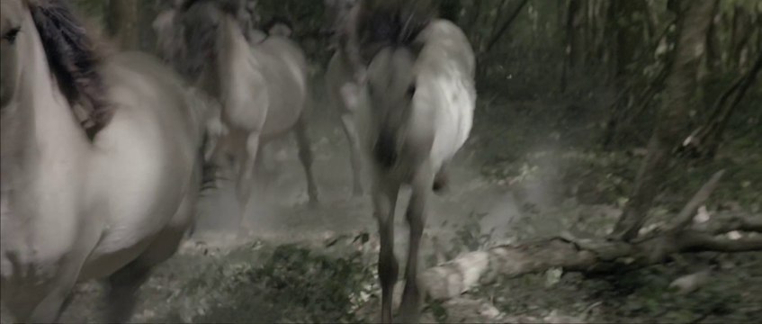 « Les Saisons » : extrait exclusif du docu de Perrin et Cluzaud