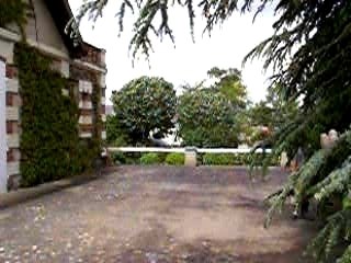 Zoom Konica Dimage Z6