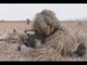 Marine corps conduct live-fire military exercise in China