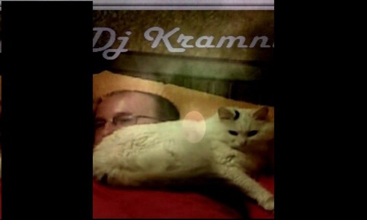 Retro House sound ( Disco back ) - Dj Kramnik   Download mp3 music free