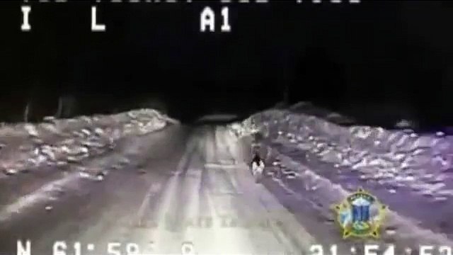 Un cane ferma un auto della polizia e si fa seguire fini ad una casa in fiamme