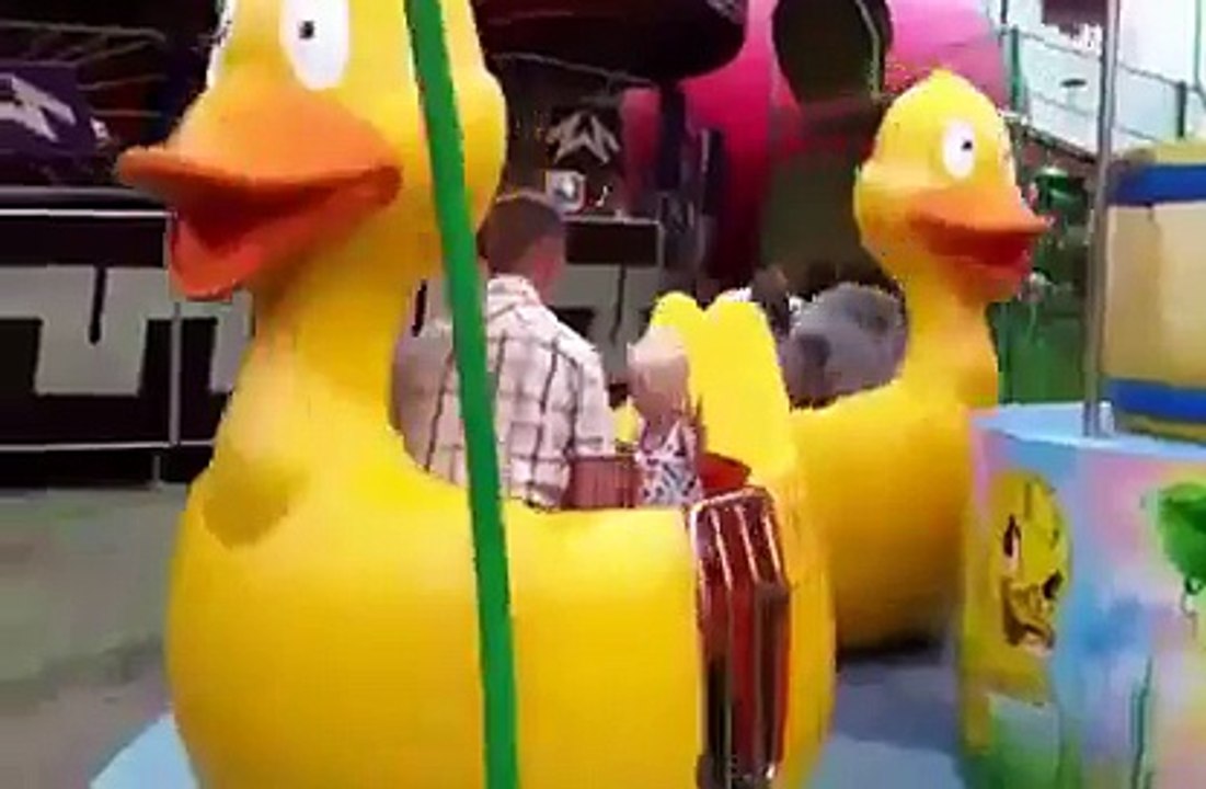 Accident de canard dans un parc d'attractions