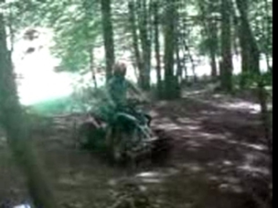 MOV00775