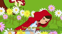 Kırmızı başlıklı kız masalı