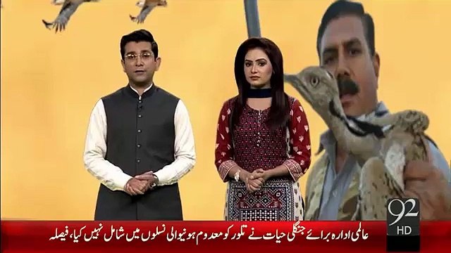 Supreme Court Nay Talore Kay Shikaar Per Pabandi Khatam Kr Di -22-Jan-16 -92NewsHD