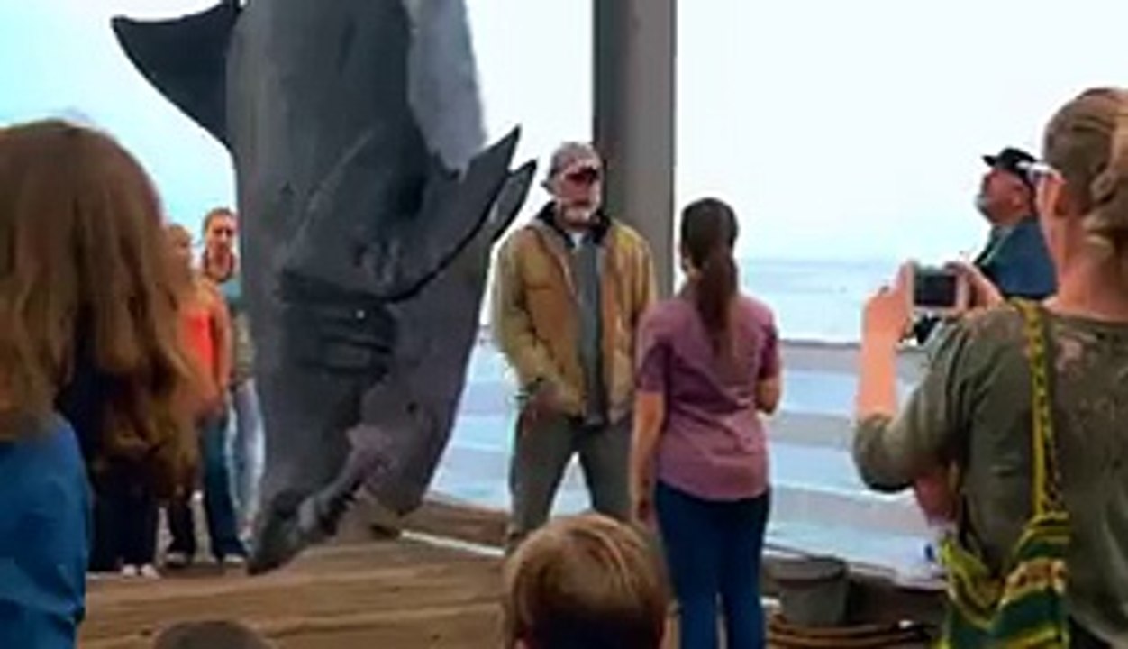 Miracle of Shark