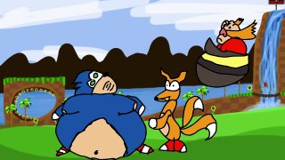 Sonic is Fat