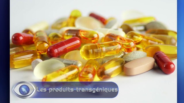 Semaine 03 Mardi 2601 Les produits transgéniques