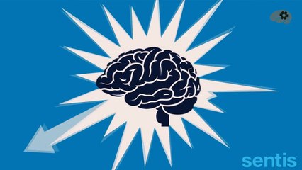 Краткий ликбез по мозгу