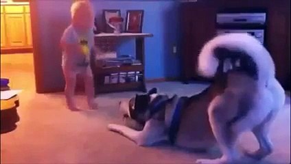 Cutest Scene for 2016 Child Playing with a Sweet Dog