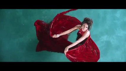 Rishi Rich - Dil Kya Kare (Did I Love You-) ft. Dasu