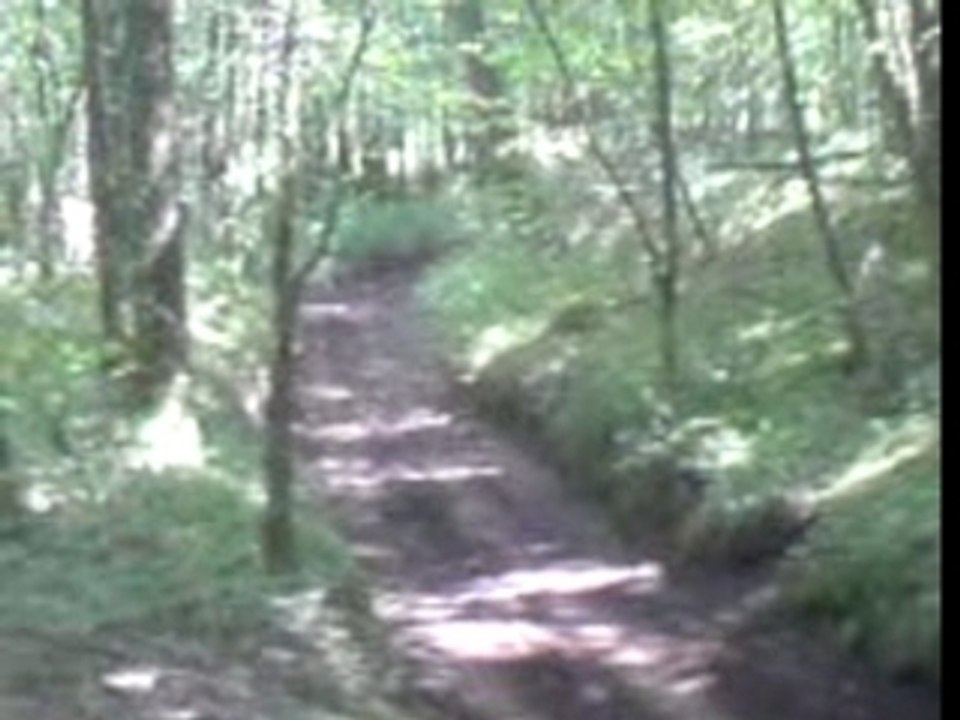 MOV00009
