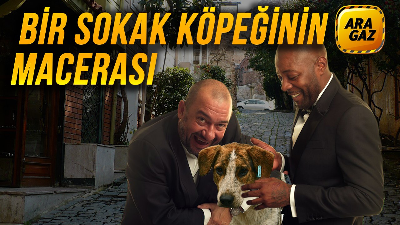 Ara Gaz Radyo Tiyatrosu: Bir Sokak Köpeğinin Macerası