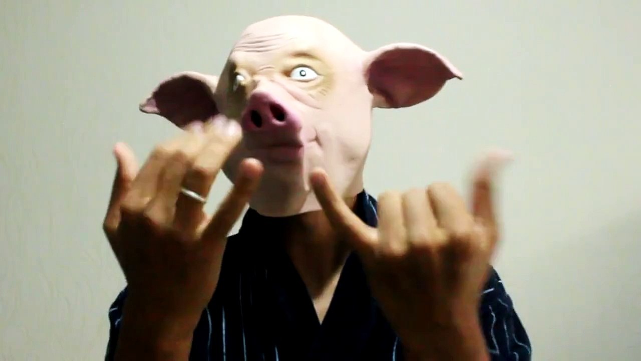 Pig Finger Family - Animal Daddy Finger Song