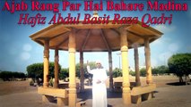 Hafiz Abdul Basit Raza Qadri - Ajab Rang Par Hai Bahare Madina