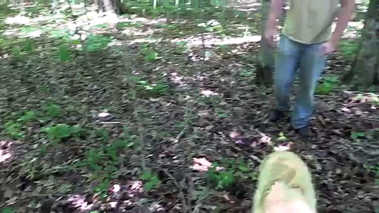 Deep Woods Thoughts #1