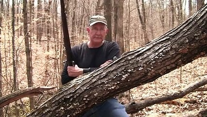 2nd Amendment Rally in Clarksville, Tn ( March 29th )