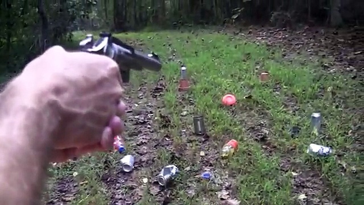 Ruger SP101 .22 (Close Up )