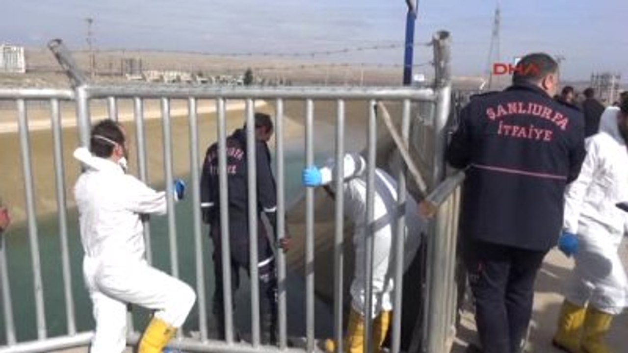 Şanlıurfa Sulama Kanalında Ceset Parçaları Bulundu