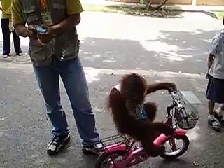 This is My Milk Get Your Own...