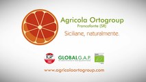 Agricola Ortogroup - Siciliane, Naturalmente