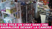 Elle vole un chat dans une animalerie devant la caméra ! L’histoire dans la minute chat #109