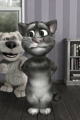 Funny Cat Farts Animation Video