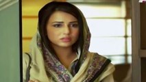 Bheegi Palkein Episode 11 Full Aplus Drama 22 Jan 2016