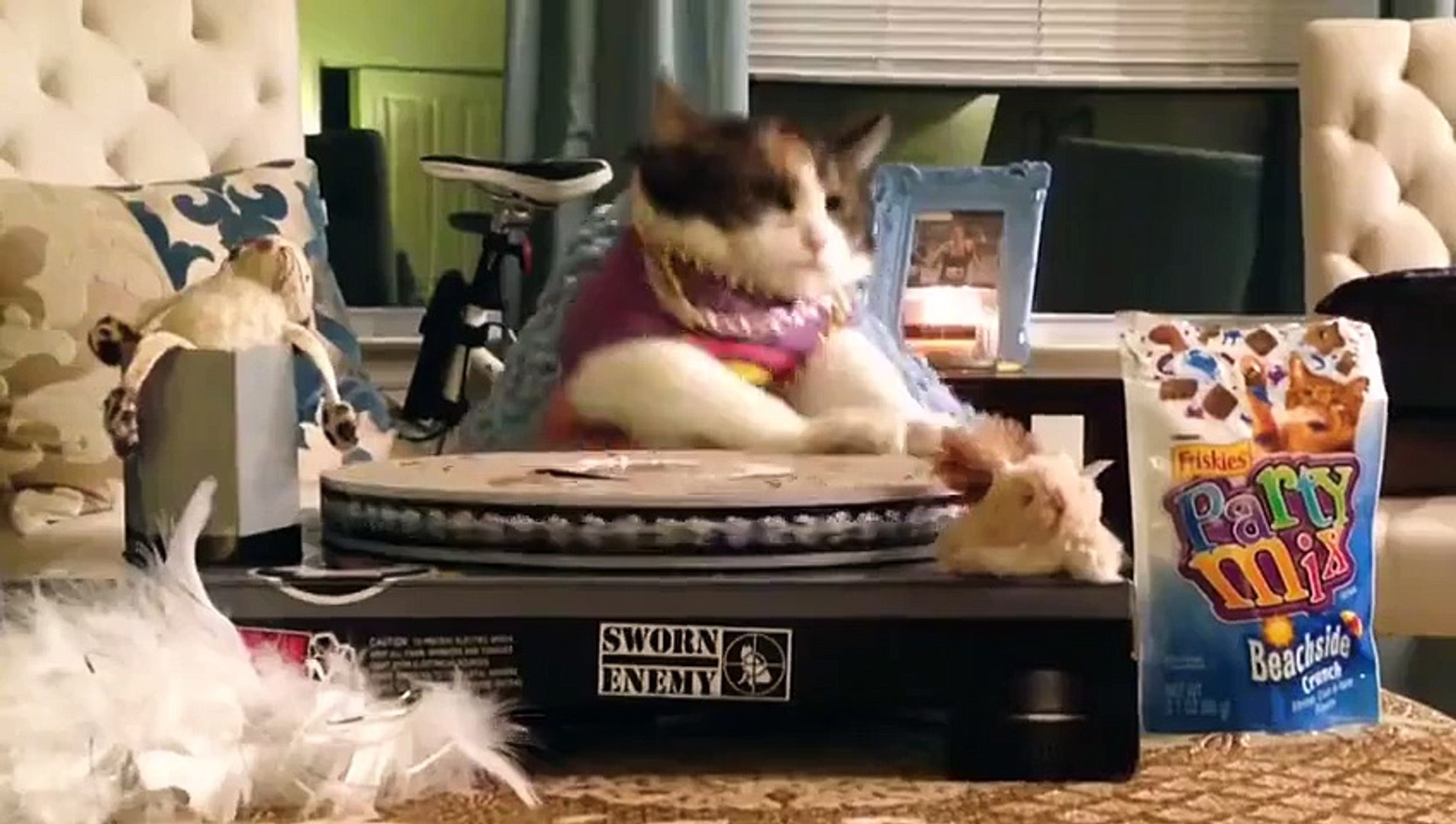 ⁣EDM Cats (Funny Cats Compilation)