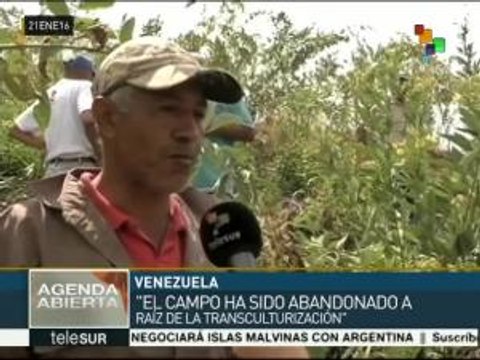 Venezuela: pequeños agricultores, comprometidos con economía nacional