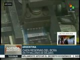 Reservas del Banco Central de Argentina caen en 177 mdd