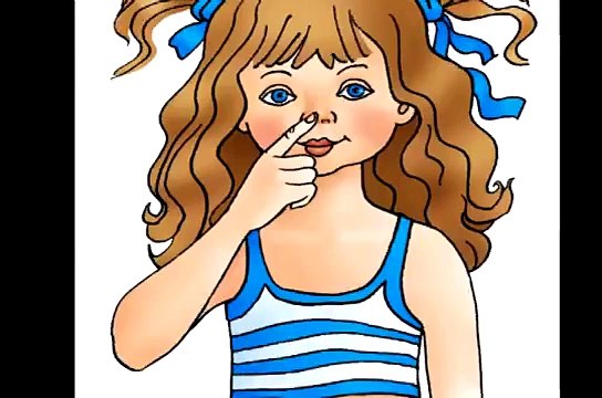 Head Shoulders Knees And Toes | Body Songs For Preschoolers