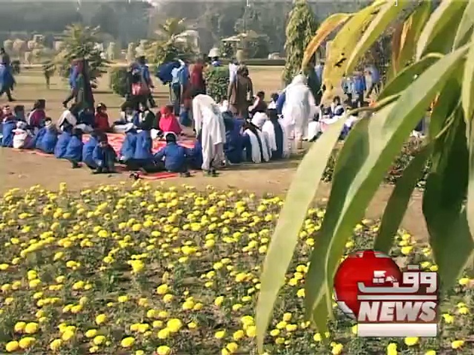 JALLO-PARK