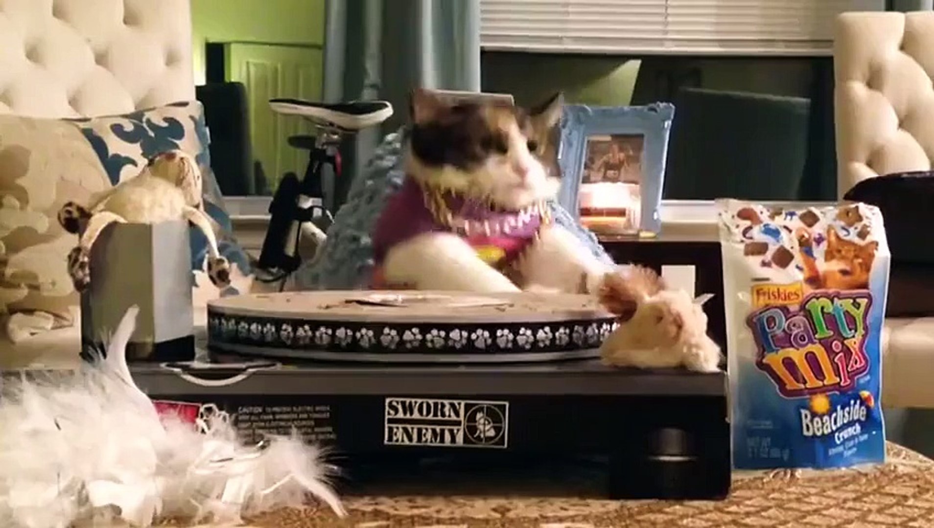 ⁣EDM Cats (Funny Cats Compilation)