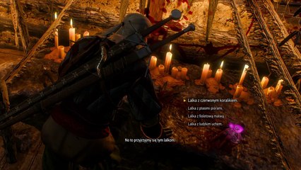 The Witcher 3 Wild Hunt Part 22 Gameplay