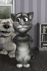 Funny Cat Farts Animation Video