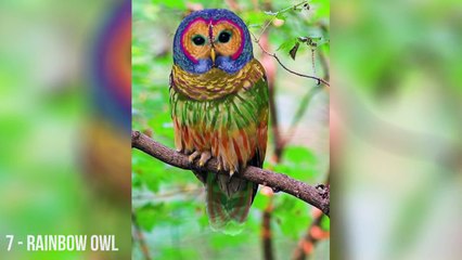 10 Fake Photos Everyone Thought Was Real