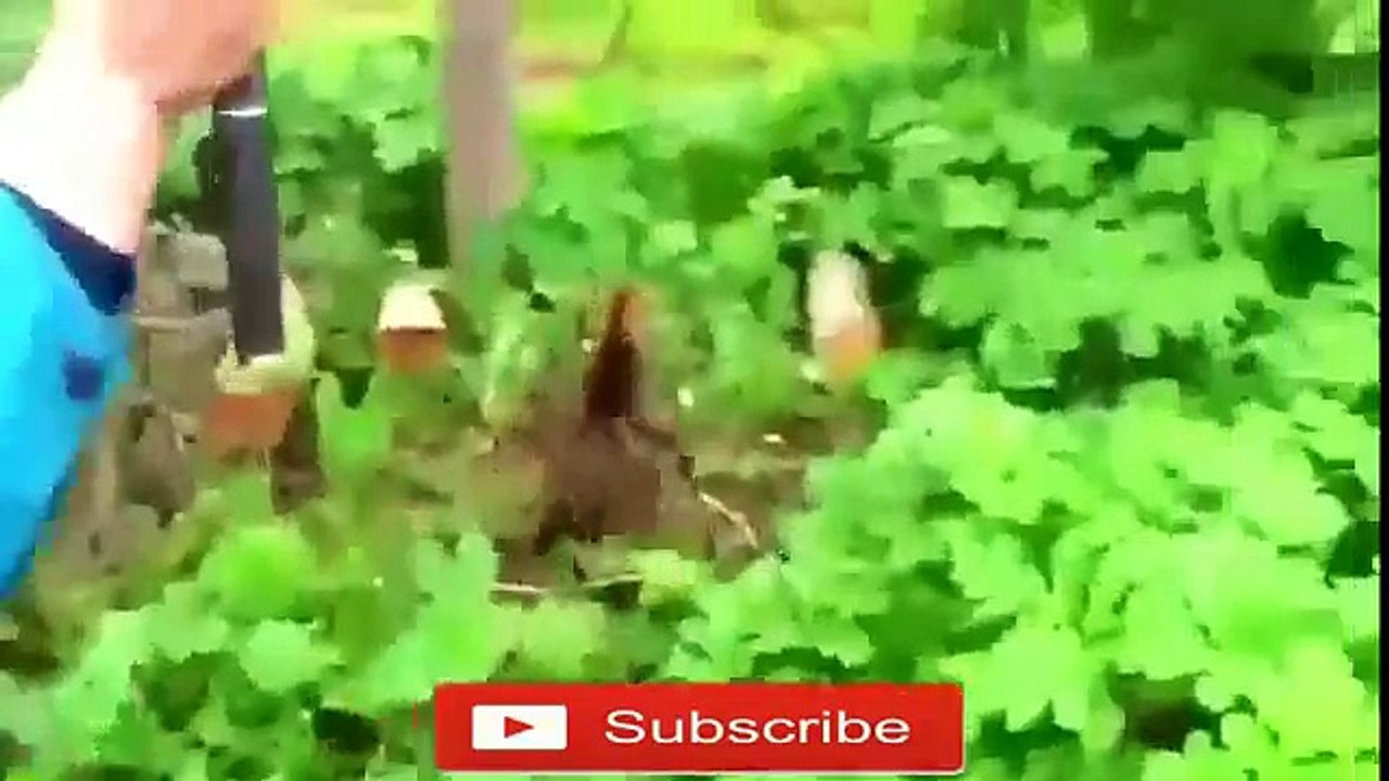 Super Funny Fails Compilation - Funny Videos 2016 | FailCentral